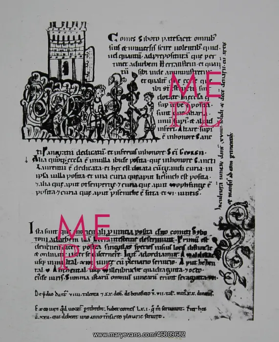 : Falkensteiner Codex : Falkensteiner Codex