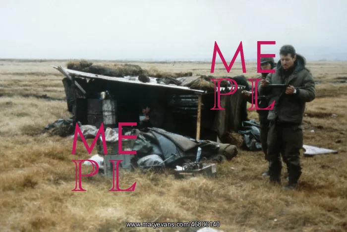 : FALKLANDS / ARGENTINES : FALKLANDS / ARGENTINES