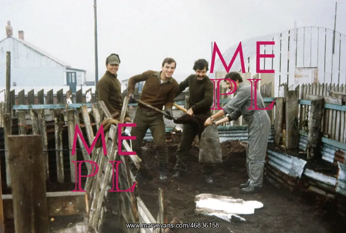 : FALKLANDS / CONSCRIPTS : FALKLANDS / CONSCRIPTS