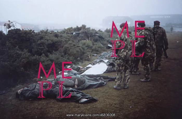 : FALKLANDS / DEAD : FALKLANDS / DEAD