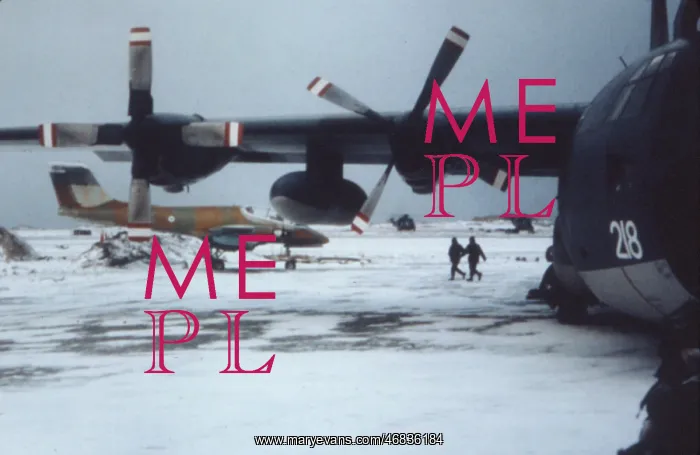 : FALKLANDS / PUCARA : FALKLANDS / PUCARA