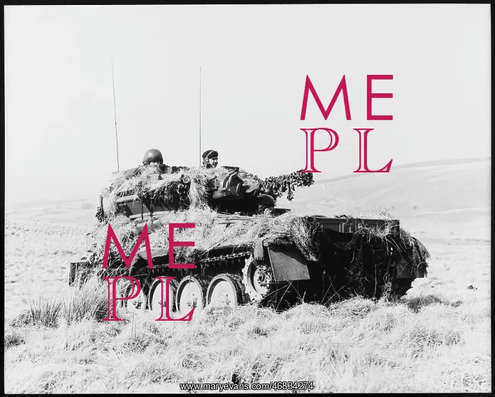 : FALKLANDS / TANK : FALKLANDS / TANK