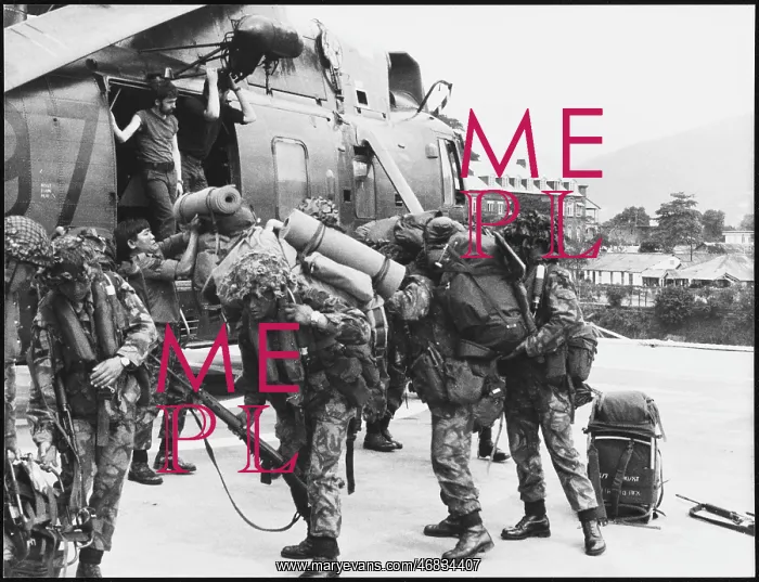 : FALKLANDS / TANK : FALKLANDS / TANK
