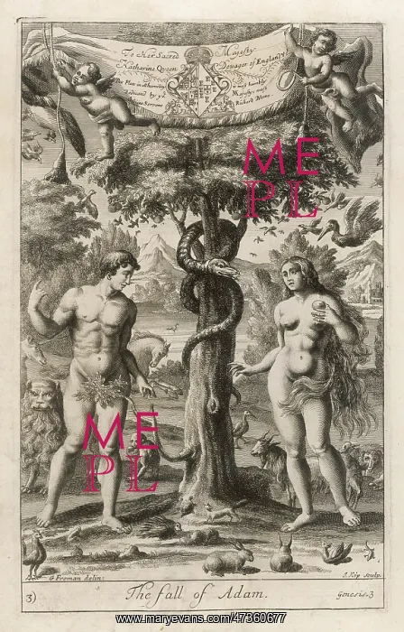: THE FALL OF ADAM : THE FALL OF ADAM