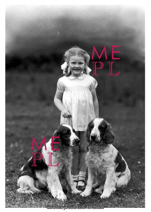 : FALL / CHILD & SPANIEL : FALL / CHILD & SPANIEL