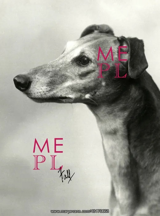 : FALL / GREYHOUND / 1934 : FALL / GREYHOUND / 1934