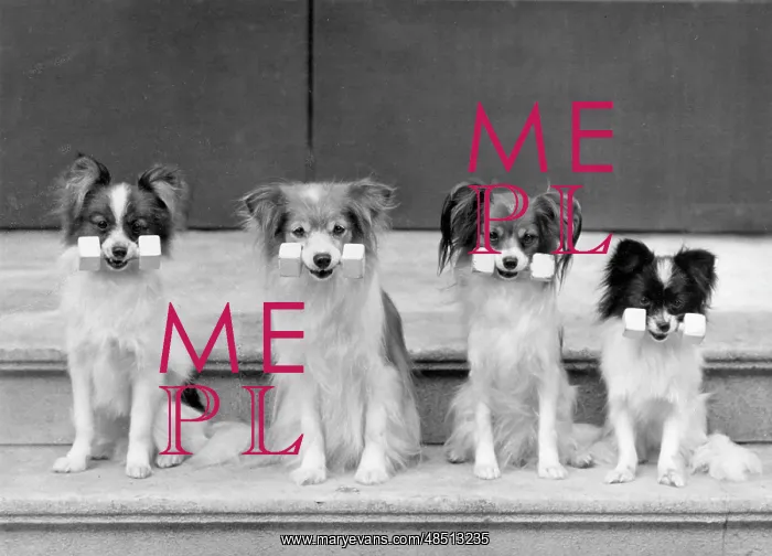 : FALL / PAPILLON / DUMBELLS : FALL / PAPILLON / DUMBELLS