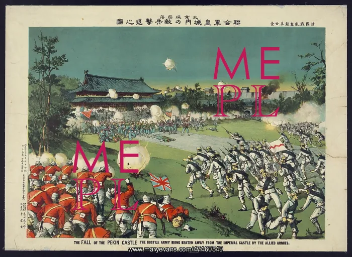 : The fall of the Pekin castle, the hostile army being beaten : The fall of the Pekin castle, the hostile army being beaten