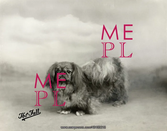  : FALL / PEKINGESE / 1938