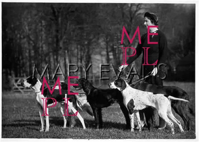 : FALL / POINTER / WHITWELL : FALL / POINTER / WHITWELL