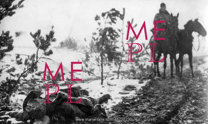 : Fallen Austro-Hungarian soldier, 1914 : Fallen Austro-Hungarian soldier, 1914