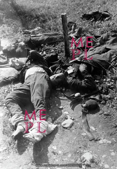 : Fallen Red Army soldiers on the Eastern Front, 1941 : Fallen Red Army soldiers on the Eastern Front, 1941