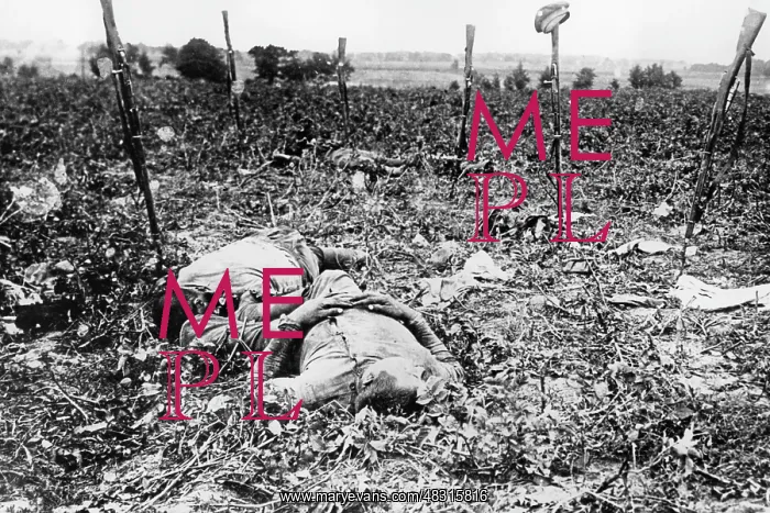 : Fallen soldiers, 1916 : Fallen soldiers, 1916