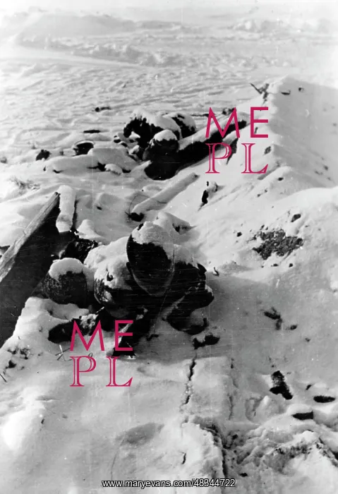 : Fallen soldiers in Demyansk, 1942 : Fallen soldiers in Demyansk, 1942