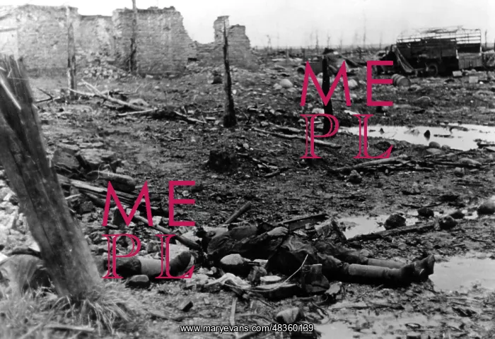: Fallen Soviet soldiers in Cholm, 1942 : Fallen Soviet soldiers in Cholm, 1942