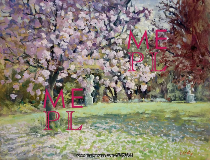 : Falling Cherry ' garden with statues : Falling Cherry ' garden with statues
