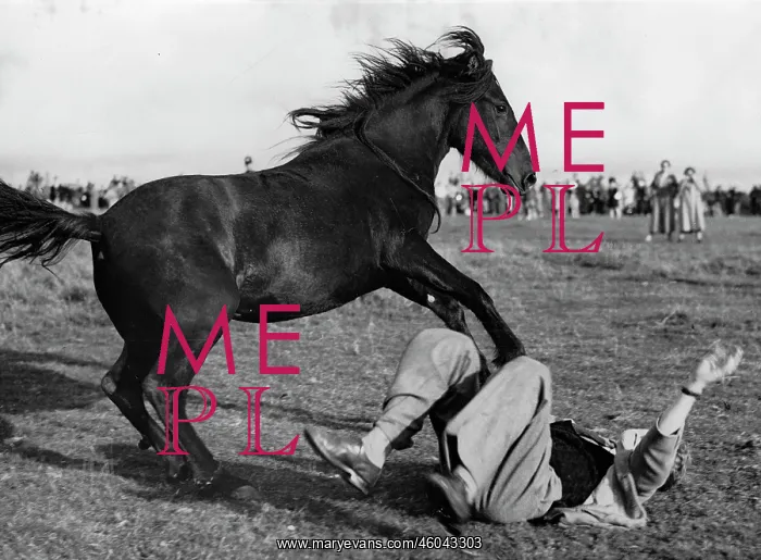: Falling at a rodeo : Falling at a rodeo