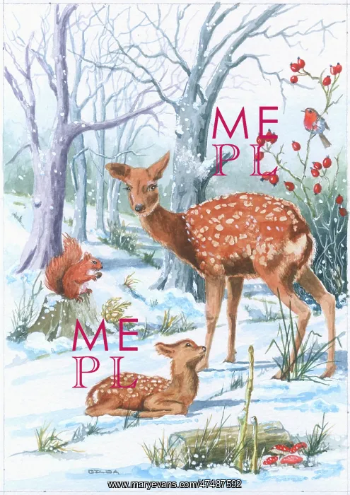 : Fallow deer with fawn in the snow : Fallow deer with fawn in the snow