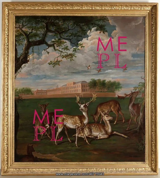 : Fallow deer in Hyde Park, Kensington Palace : Fallow deer in Hyde Park, Kensington Palace