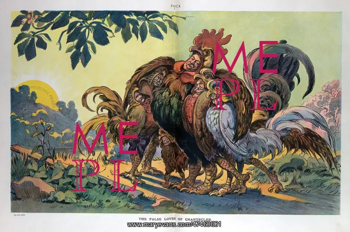 : The false loves of chantecler : The false loves of chantecler