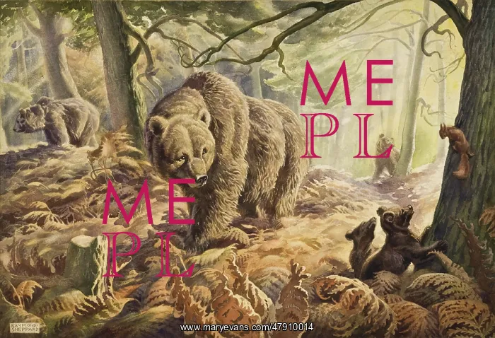: A Family of bears in the wood : A Family of bears in the wood