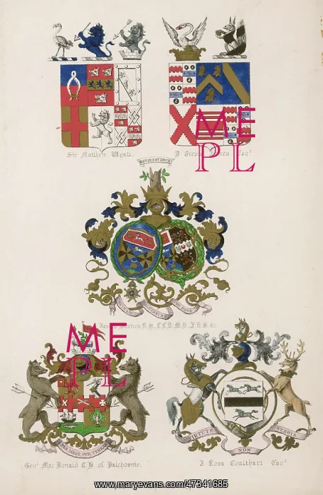 : FAMILY COATS OF ARMS 16 : FAMILY COATS OF ARMS 16