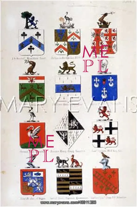 : FAMILY COATS OF ARMS 4 : FAMILY COATS OF ARMS 4
