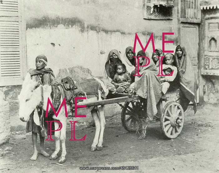  : Family Conveyance in Cairo, Egypt
