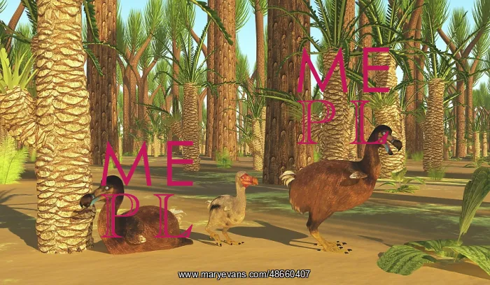 : A family of Dodo birds rest among a forest of trees : A family of Dodo birds rest among a forest of trees