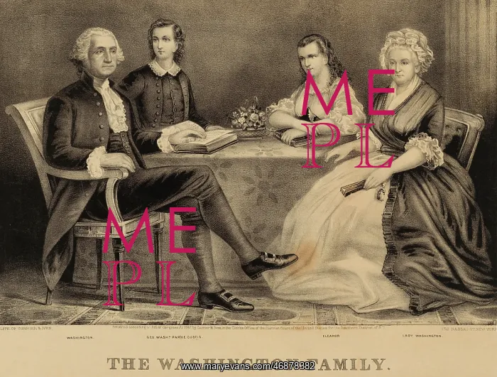 : The Family of George Washington : The Family of George Washington