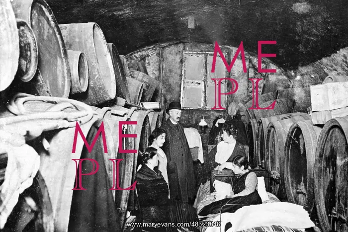 : Family in Gorizia, 1917 : Family in Gorizia, 1917