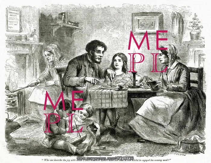: FAMILY MEAL : FAMILY MEAL