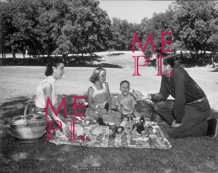 : Family Picnic : Family Picnic
