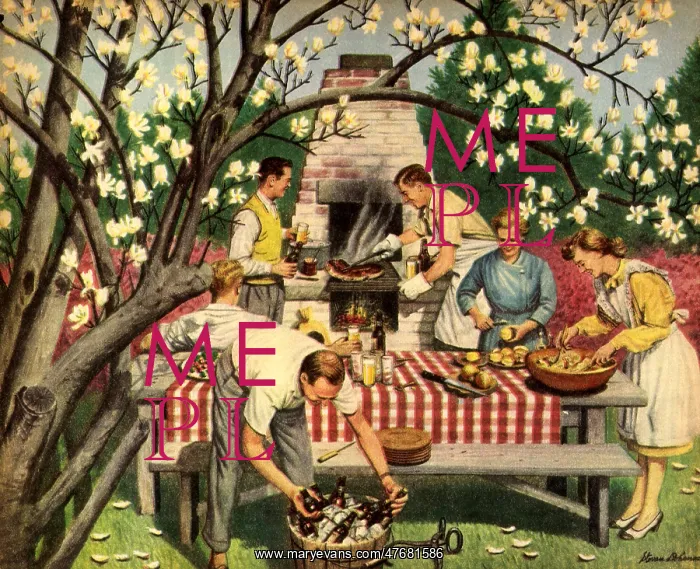  : Family Picnic