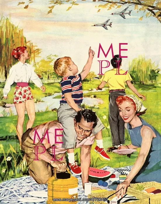  : Family Picnic