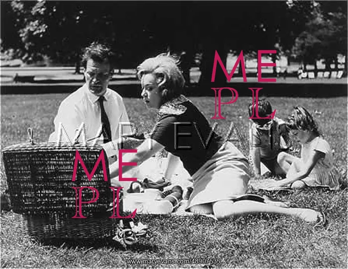 : FAMILY OF FOUR PICNIC : FAMILY OF FOUR PICNIC