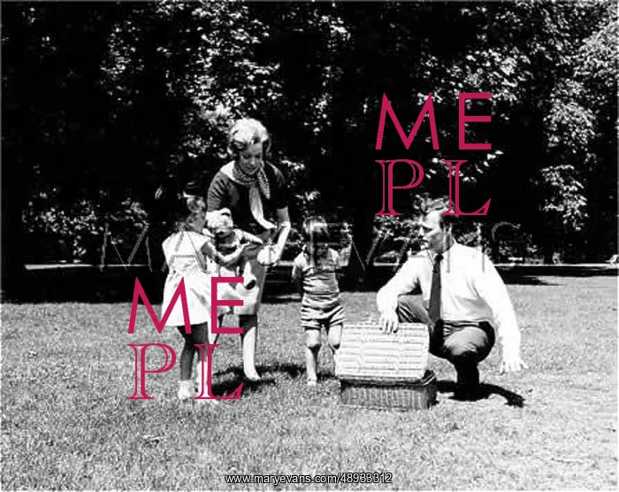 : FAMILY PICNIC : FAMILY PICNIC