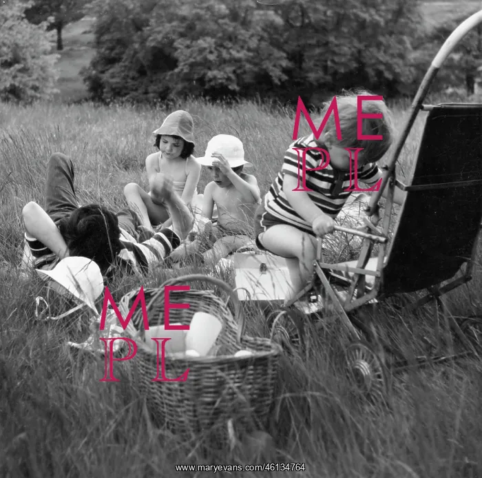  : Family picnic in long grass