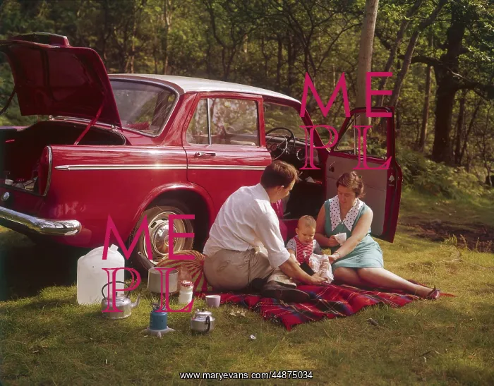 : FAMILY PICNICKING BY CAR : FAMILY PICNICKING BY CAR