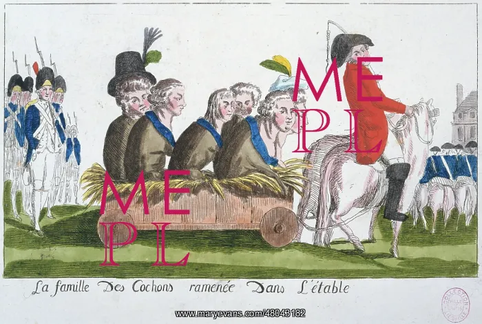 : The Family of Pigs Brought : The Family of Pigs Brought