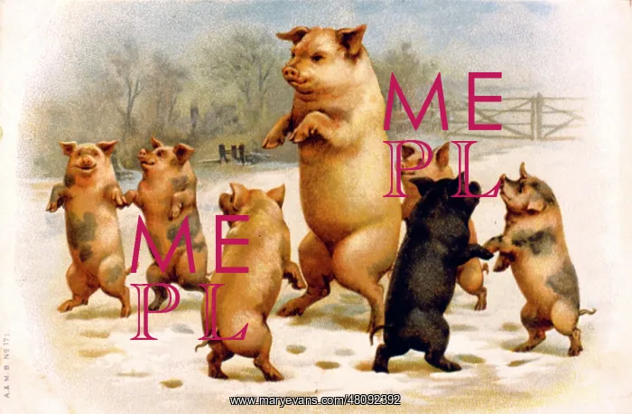 : Family of pigs dancing in the snow : Family of pigs dancing in the snow