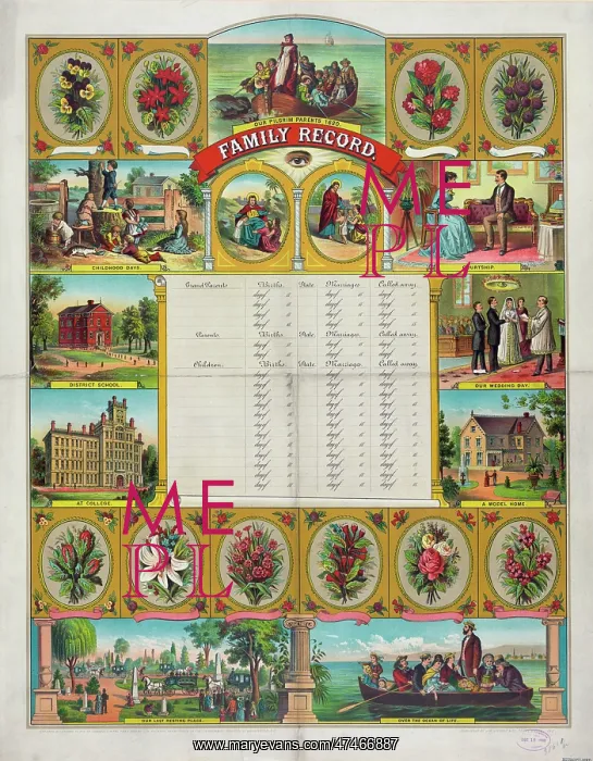 : Family record : Family record
