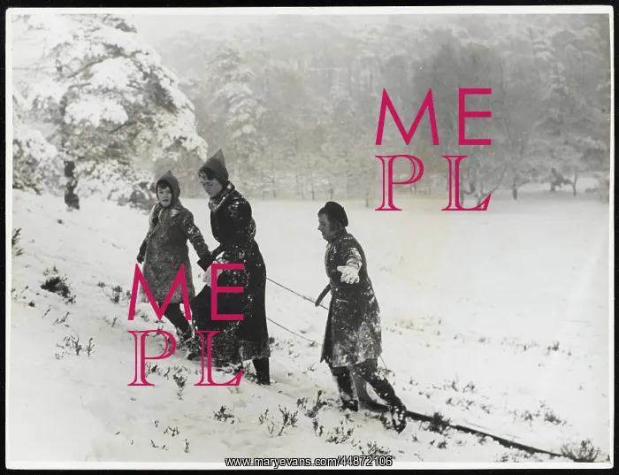 : FAMILY SLEDGING C1940 : FAMILY SLEDGING C1940