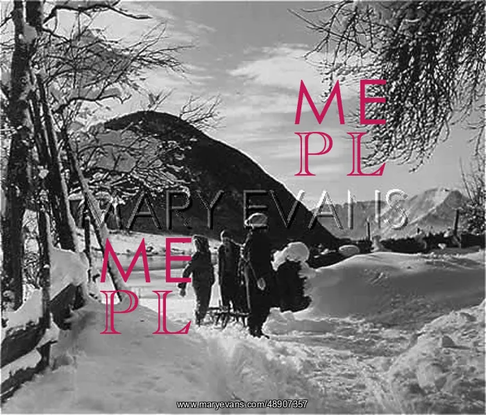 : FAMILY SLEDGING C1940 : FAMILY SLEDGING C1940