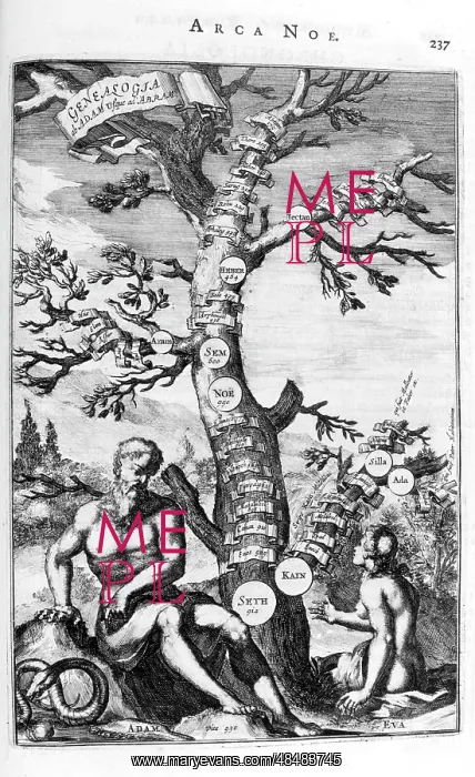: Family tree of Adam to Abraham; from Arca Noe : Family tree of Adam to Abraham; from Arca Noe