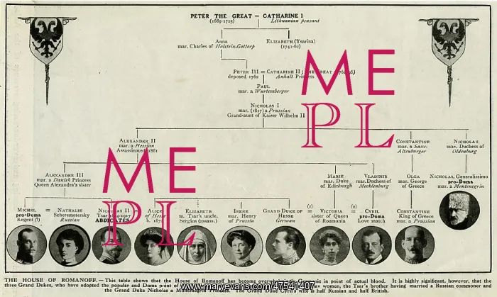: Family tree of Peter the Great and Catherine I : Family tree of Peter the Great and Catherine I