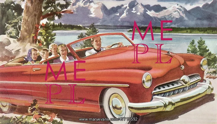 : Family Vacation : Family Vacation