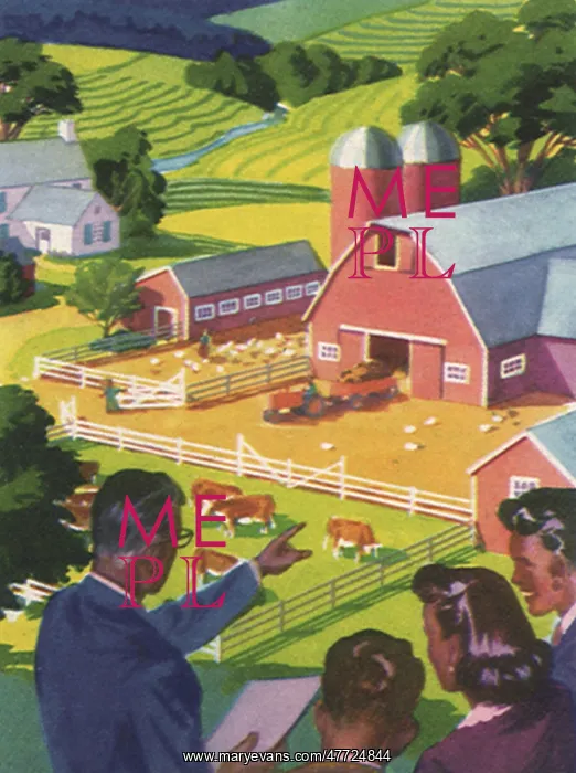 : Family Views Farm : Family Views Farm