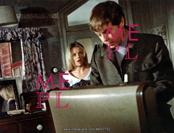 : The Family Way (1966) : The Family Way (1966)