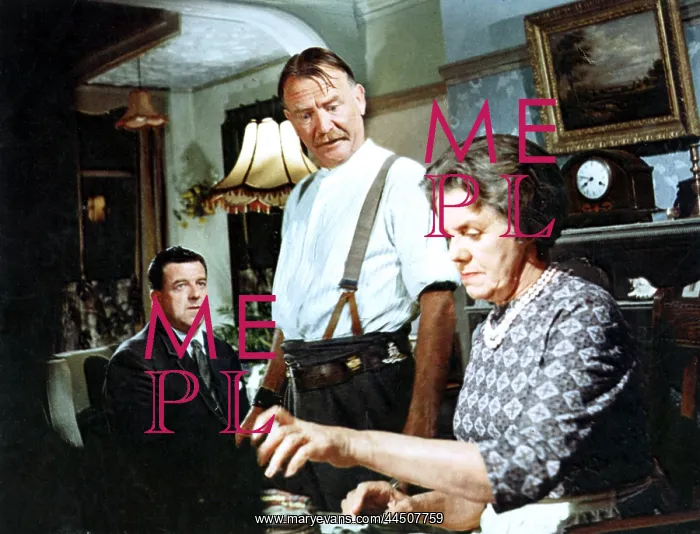 : The Family Way (1966) : The Family Way (1966)